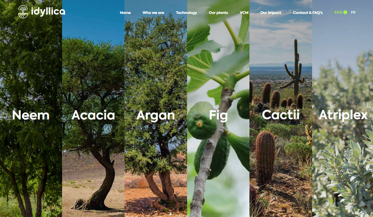 6 tree types planted by Idyllica